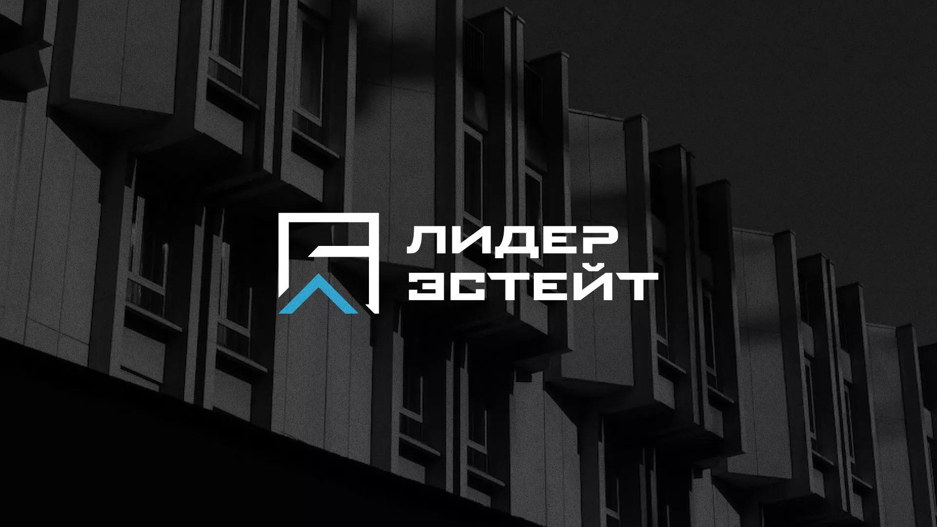 Разработка логотипа агентства недвижимости «Лидер Эстейт» в Белореченске