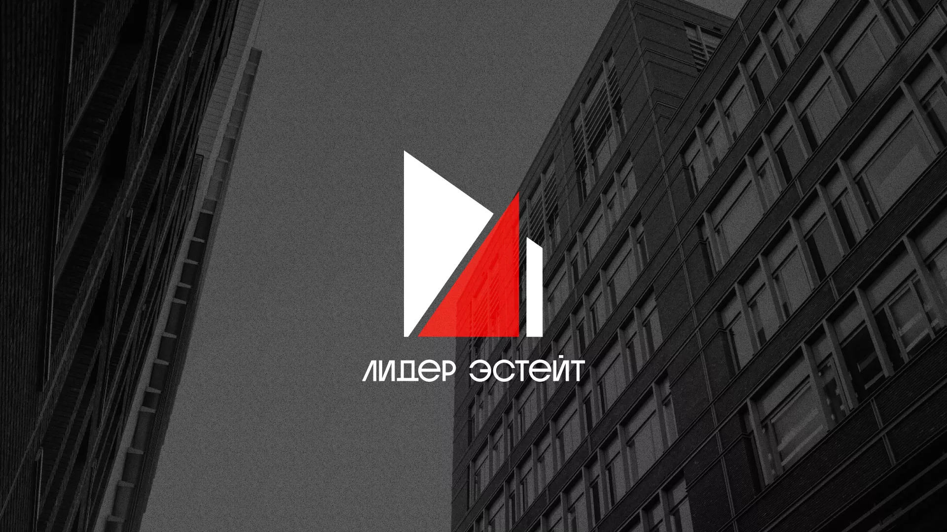 Сделали логотип для агентства недвижимости «Лидер Эстейт» в Белореченске